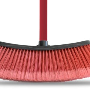 ESCOBILLON DOMESTICO