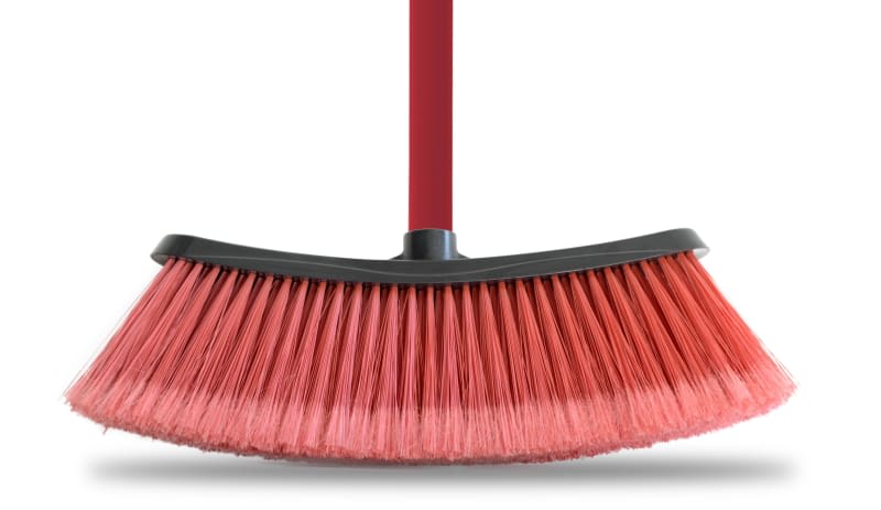 ESCOBILLON DOMESTICO